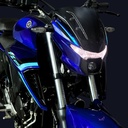 FZN 250 ABS