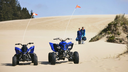 Raptor 110R