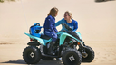 Raptor 110R