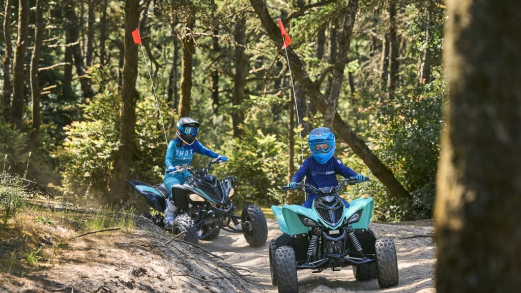 Raptor 110R