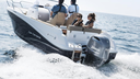 150 Hp 4 Tiempos Gris Pata 25"