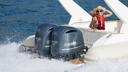 250 Hp 4 Tiempos Gris Pata 25"