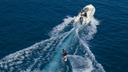 250 Hp 4 Tiempos Gris Pata 25"