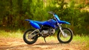 TT R110E