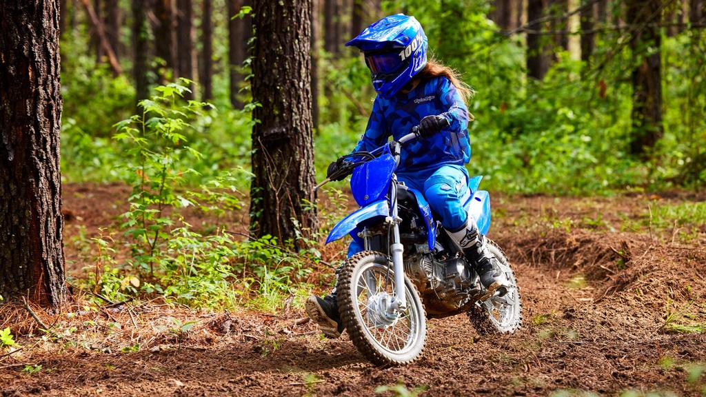 TT R110E