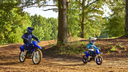 PW 50