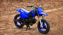 PW 50