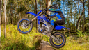 WR 250F