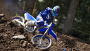 YZ 125