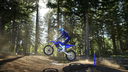 YZ 250F