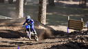 YZ 65