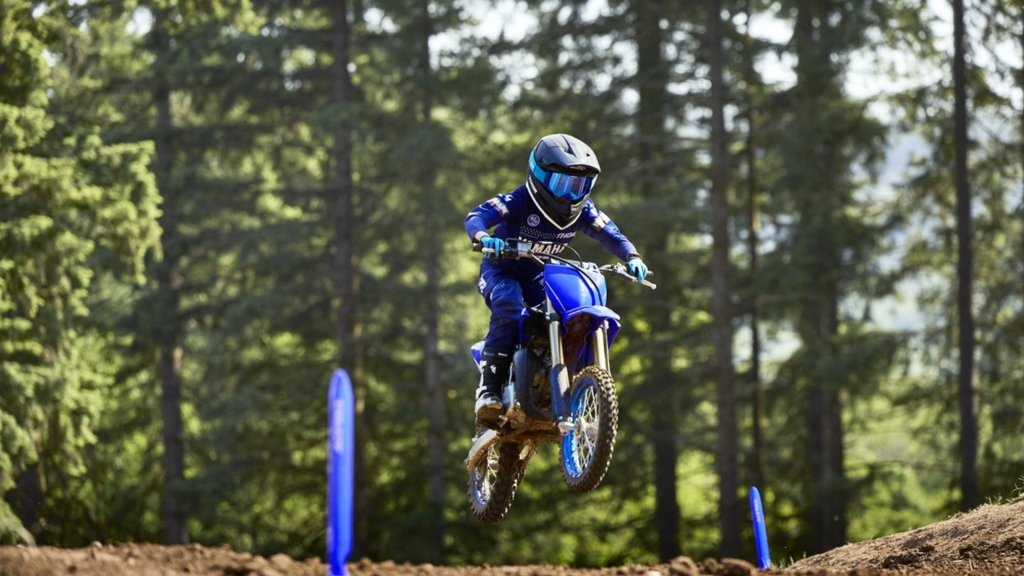 YZ 65