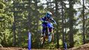 YZ 65