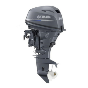 25 Hp 4 Tiempos Pata 20" Control Box