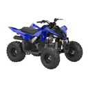 Raptor 110R