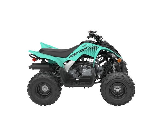 [YFM110R] Raptor 110R